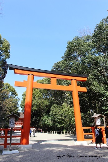 京都観光初日の最後は『河合神社』と『下鴨神社』の参拝で縁結びのご利益を♪_f0023333_13571405.jpg