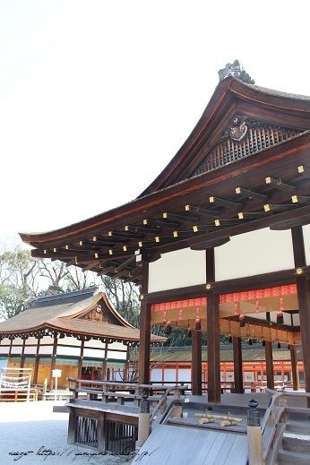 京都観光初日の最後は『河合神社』と『下鴨神社』の参拝で縁結びのご利益を♪_f0023333_13573108.jpg