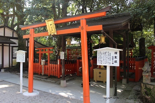京都観光初日の最後は『河合神社』と『下鴨神社』の参拝で縁結びのご利益を♪_f0023333_13573407.jpg