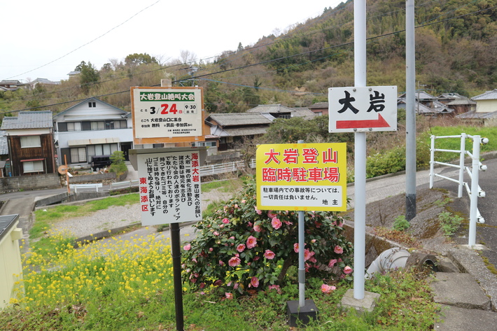 大岩の山桜&イワツツジ!_e0272335_17504225.jpg