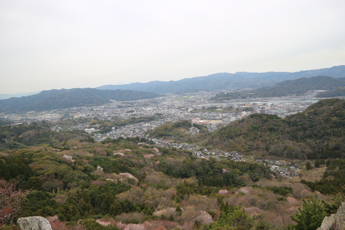 大岩の山桜&イワツツジ!_e0272335_190959.jpg
