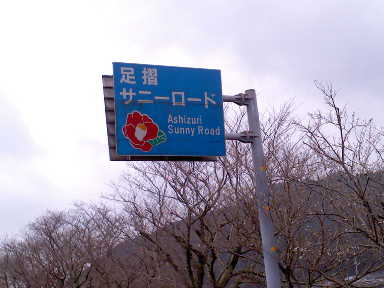 e0371039_6555621.jpg