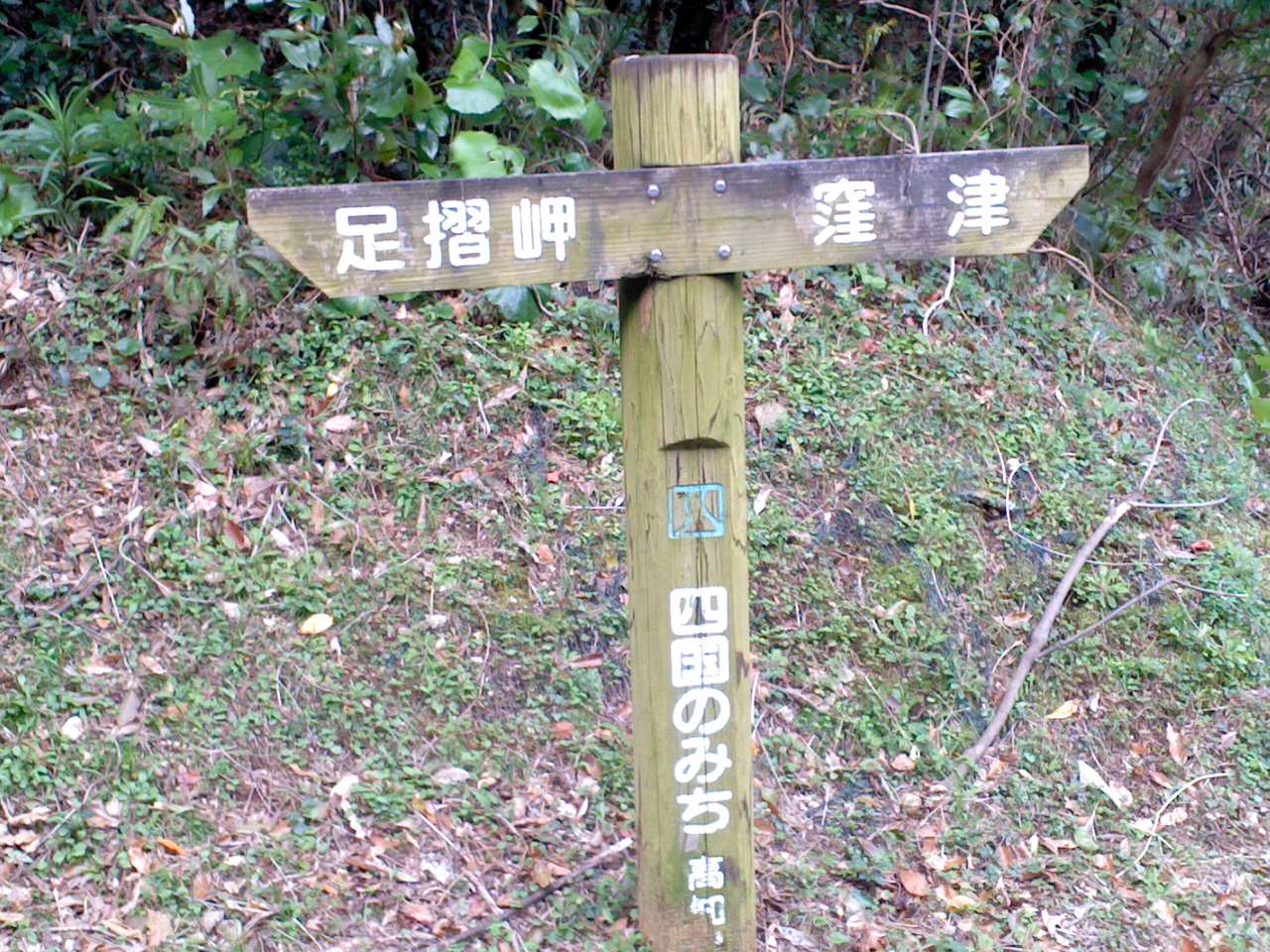 e0371039_752383.jpg