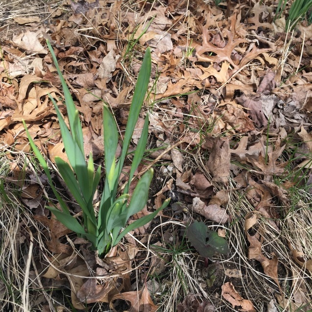 b0271640_03025166.jpeg