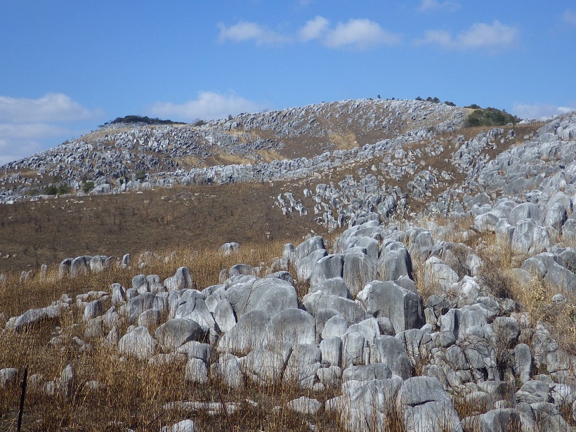 e0164643_15283044.jpg