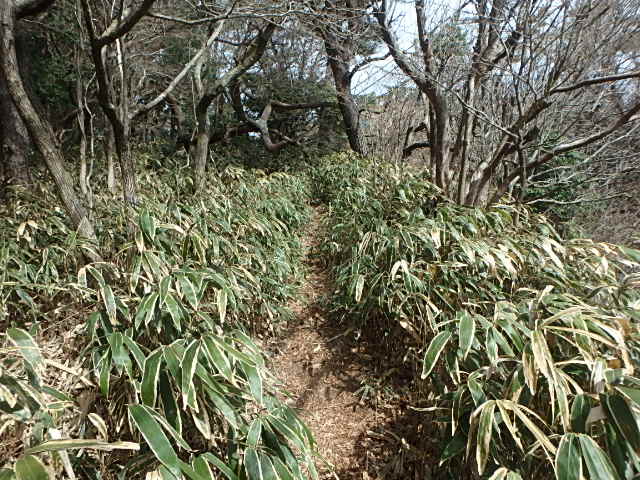 f0334143_7361268.jpg