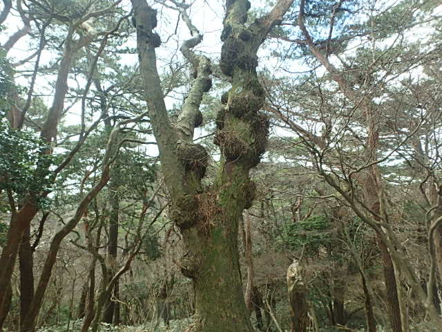 f0334143_7365998.jpg