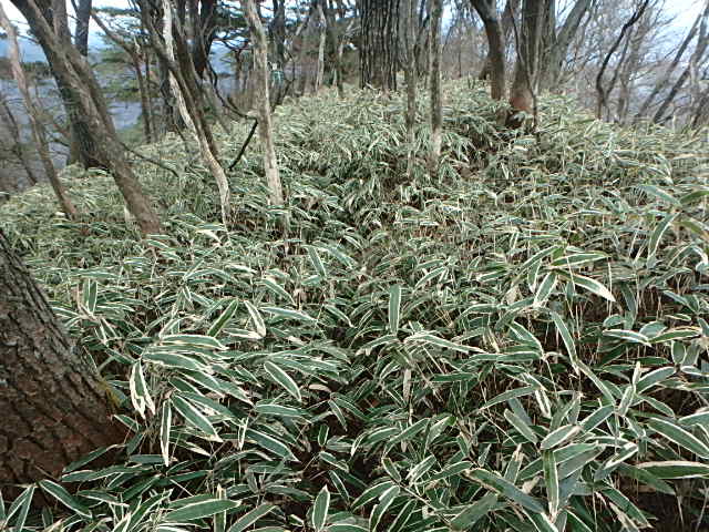 f0334143_741125.jpg