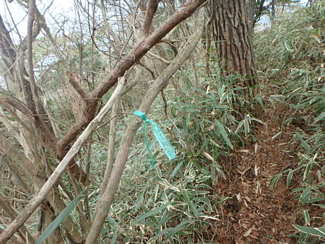 f0334143_7441011.jpg