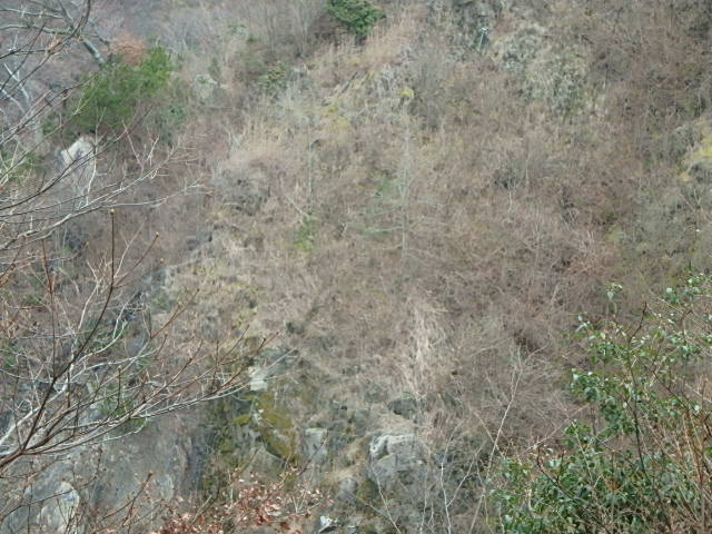 f0334143_7465019.jpg