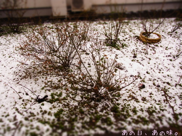 a0305046_11380915.jpg