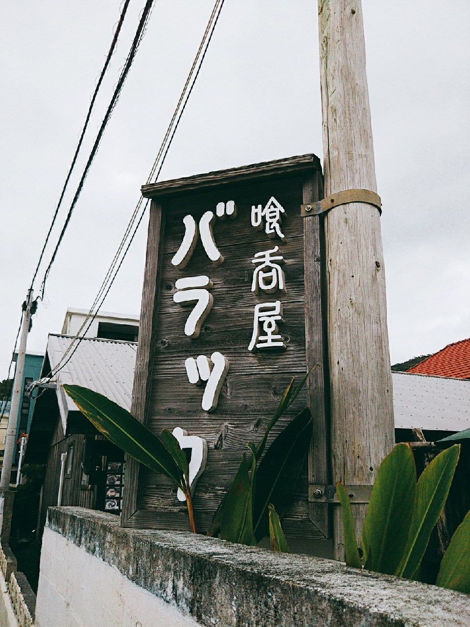 渡嘉敷島の旅　宿・食事・猫_e0251855_13595479.jpg