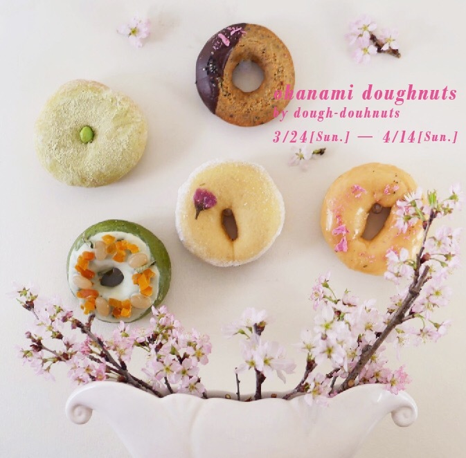 ohanami dojghnuts set おはなみドーナツセット　予約開始します！_a0221457_17581362.jpg