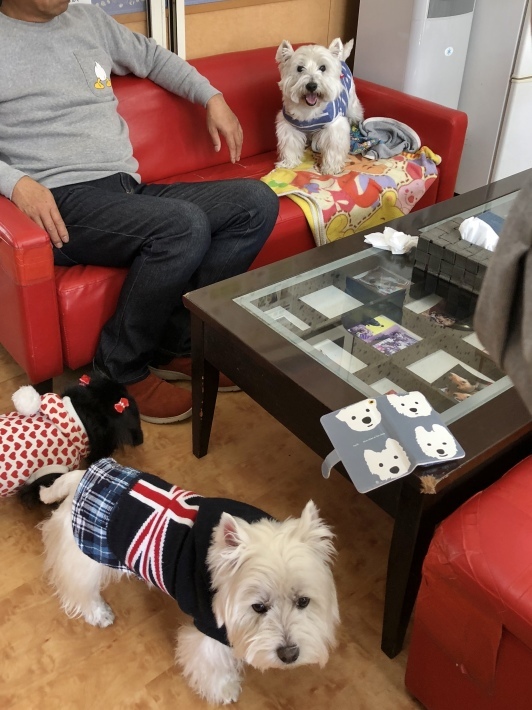 f0363961_12061560.jpeg