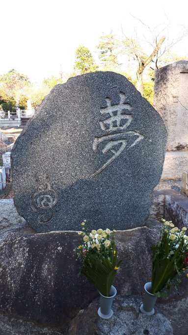 雑司ヶ谷霊園、多磨霊園のにわか墓マイラー、深川共葬墓地の行方について、amazonプライム、短期病気休養の日々:20190318-25twitterまとめ_b0116271_10045646.jpg