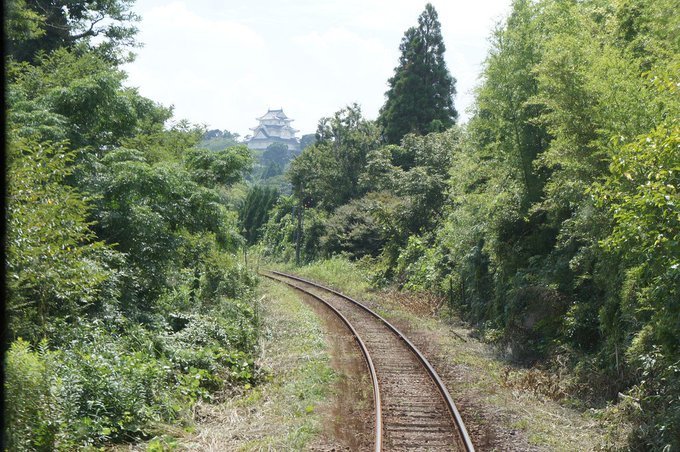 雑司ヶ谷霊園、多磨霊園のにわか墓マイラー、深川共葬墓地の行方について、amazonプライム、短期病気休養の日々:20190318-25twitterまとめ_b0116271_10150881.jpg