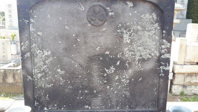 雑司ヶ谷霊園、多磨霊園のにわか墓マイラー、深川共葬墓地の行方について、amazonプライム、短期病気休養の日々:20190318-25twitterまとめ_b0116271_10210835.jpg