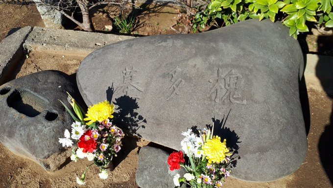 雑司ヶ谷霊園、多磨霊園のにわか墓マイラー、深川共葬墓地の行方について、amazonプライム、短期病気休養の日々:20190318-25twitterまとめ_b0116271_10215453.jpg