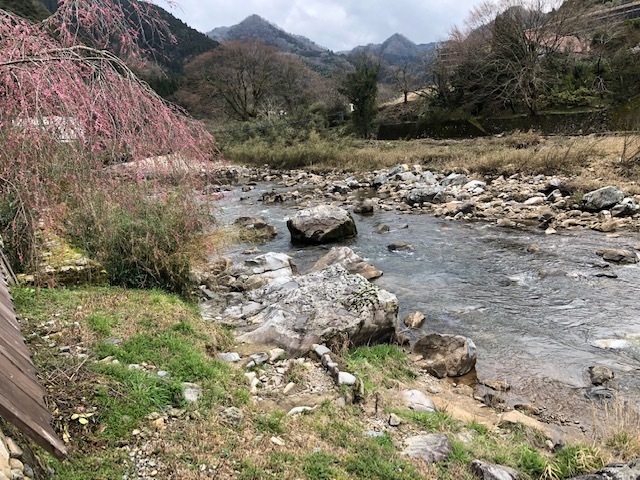 f0333882_17002316.jpg