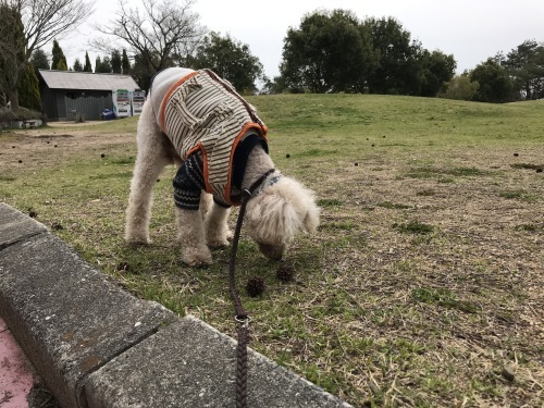 a0216583_21473118.jpeg