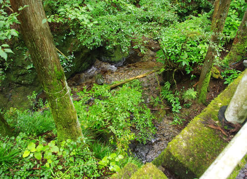 八王子の公園/水辺巡り_b0123486_09531352.jpg