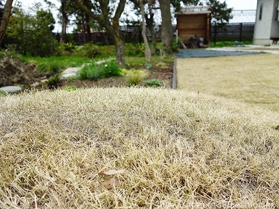 c0293787_20154623.jpg