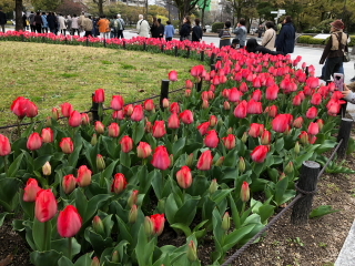 a0233991_20165468.jpg