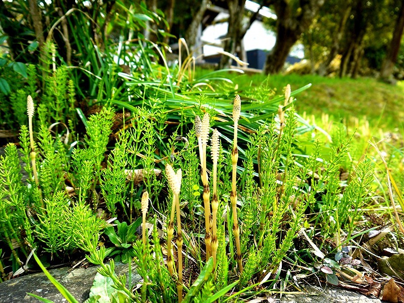 a0207593_17293211.jpg