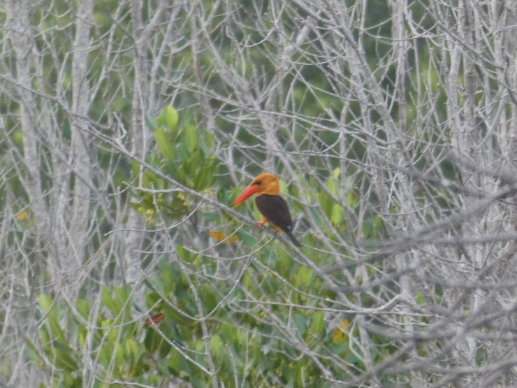 c0324393_21323682.jpg