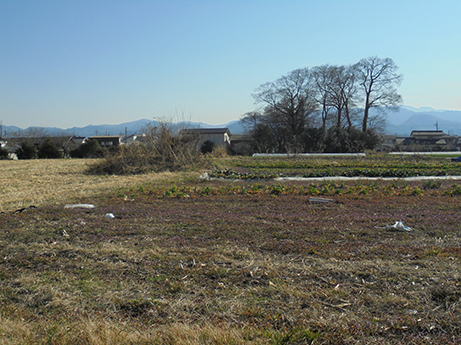 2019.3/9群馬県高崎市下池古墳群_d0355894_19334124.jpg