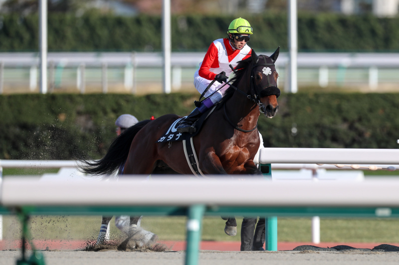 2019年3月24日　高松宮記念（GⅠ）_f0204898_17331868.jpg