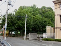 c0133503_13204366.jpg