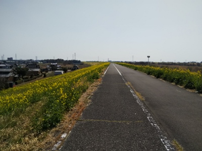 b0040606_17593338.jpg