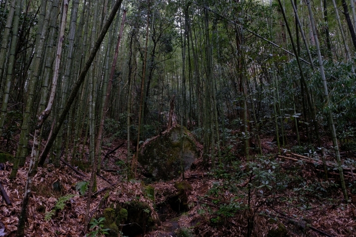 東美濃の旅 その2_e0000910_08302489.jpg
