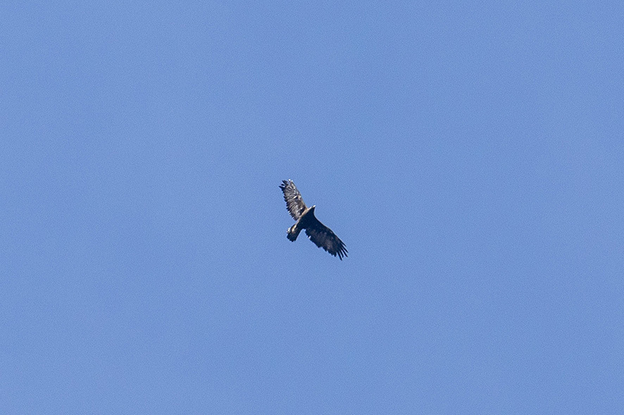 b0315912_00173791.jpg