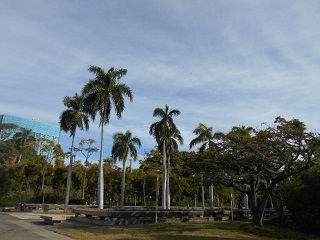 a0242019_05235721.jpg