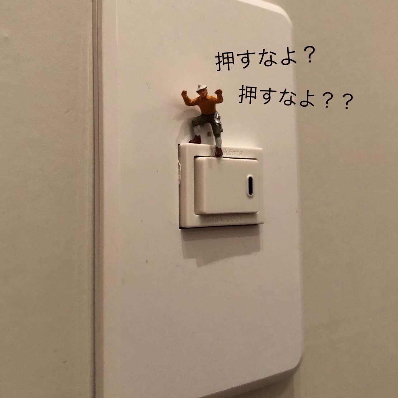 b0186130_23313987.jpg