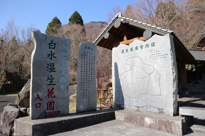 白水湿生花園(カタクリ)&男池(ハルトラノオ)&清滝(ハシリドコロ)!_e0272335_19132796.jpg