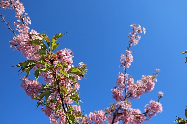 a0242438_20573557.jpg