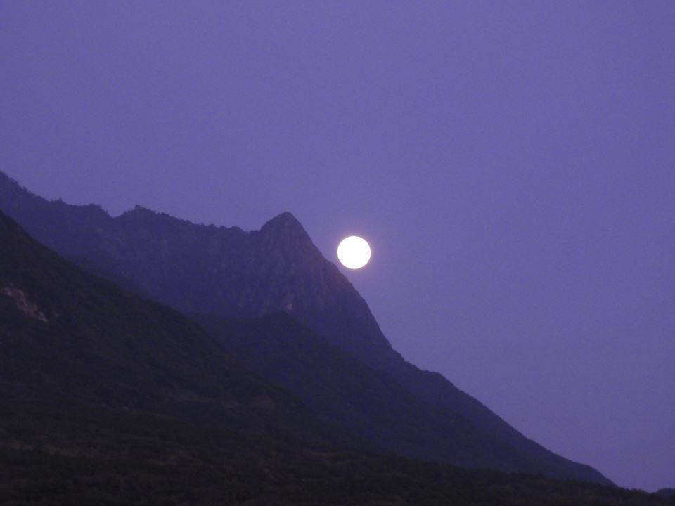 b0160957_09583259.jpg