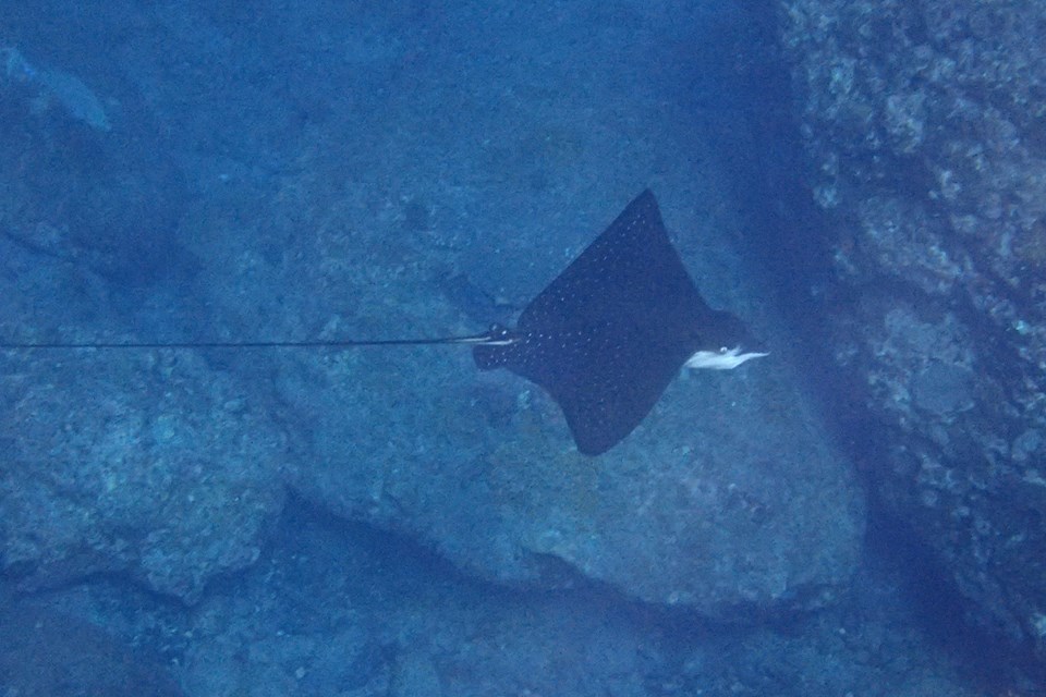 b0160957_09593788.jpg