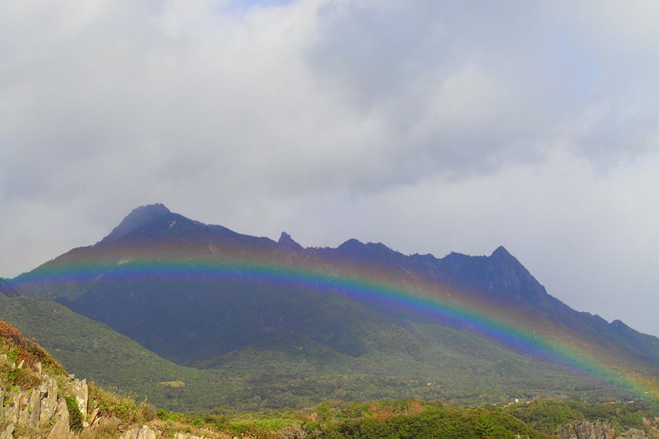b0160957_10000857.jpg