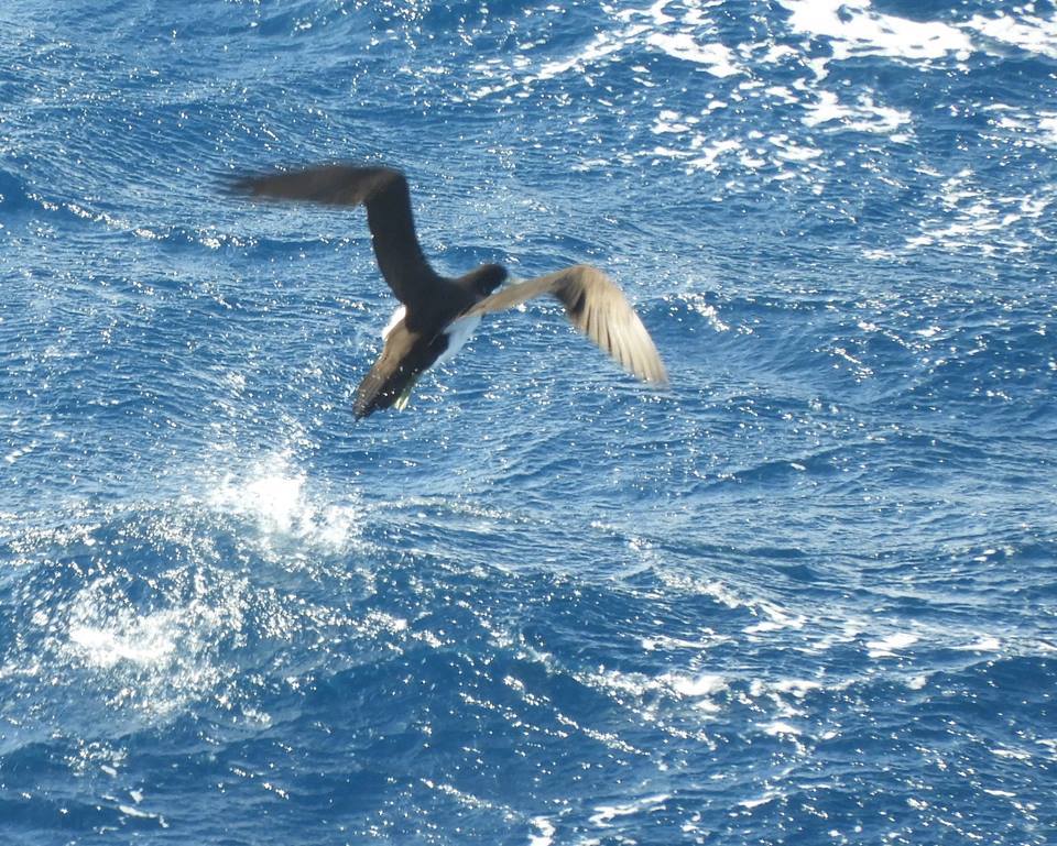 b0160957_10002431.jpg