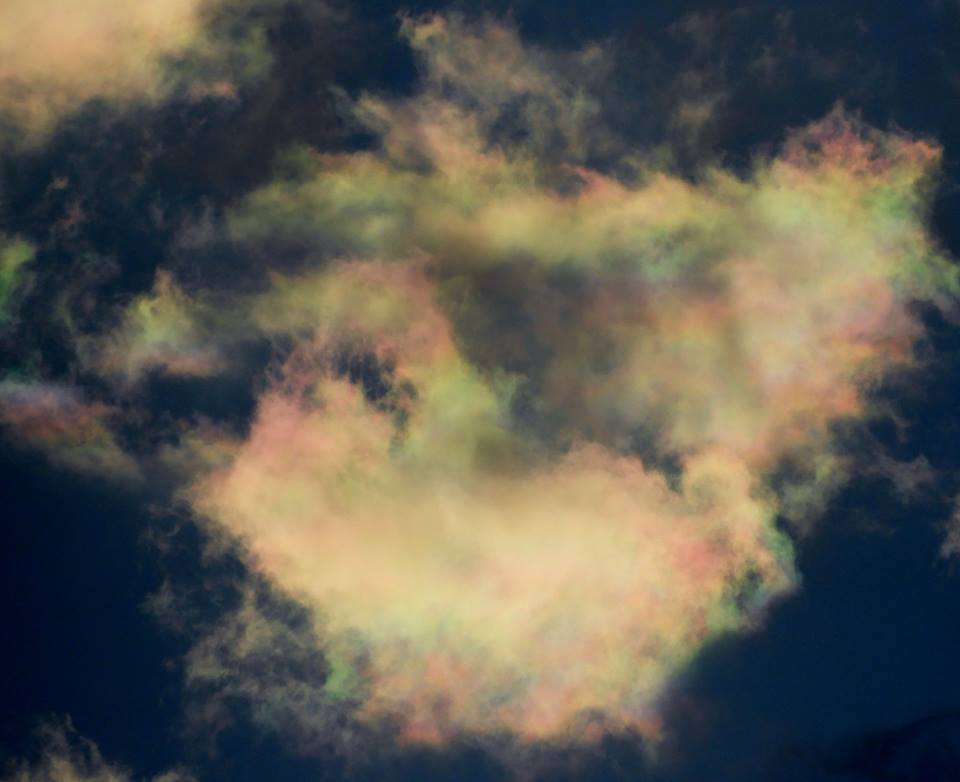 b0160957_10012560.jpg