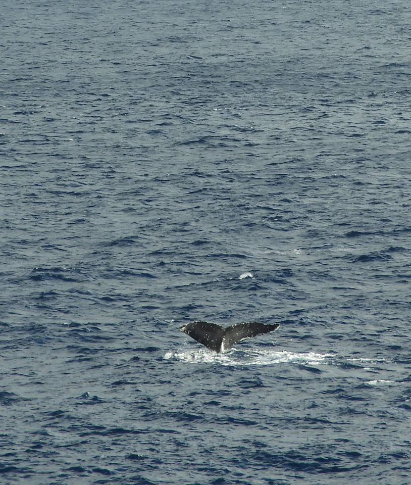 b0160957_10015910.jpg