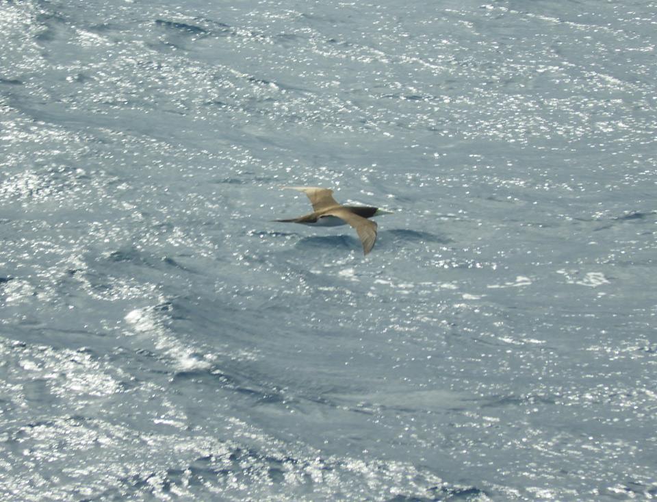 b0160957_10023397.jpg