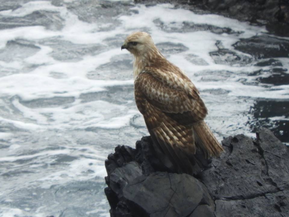 b0160957_10025398.jpg