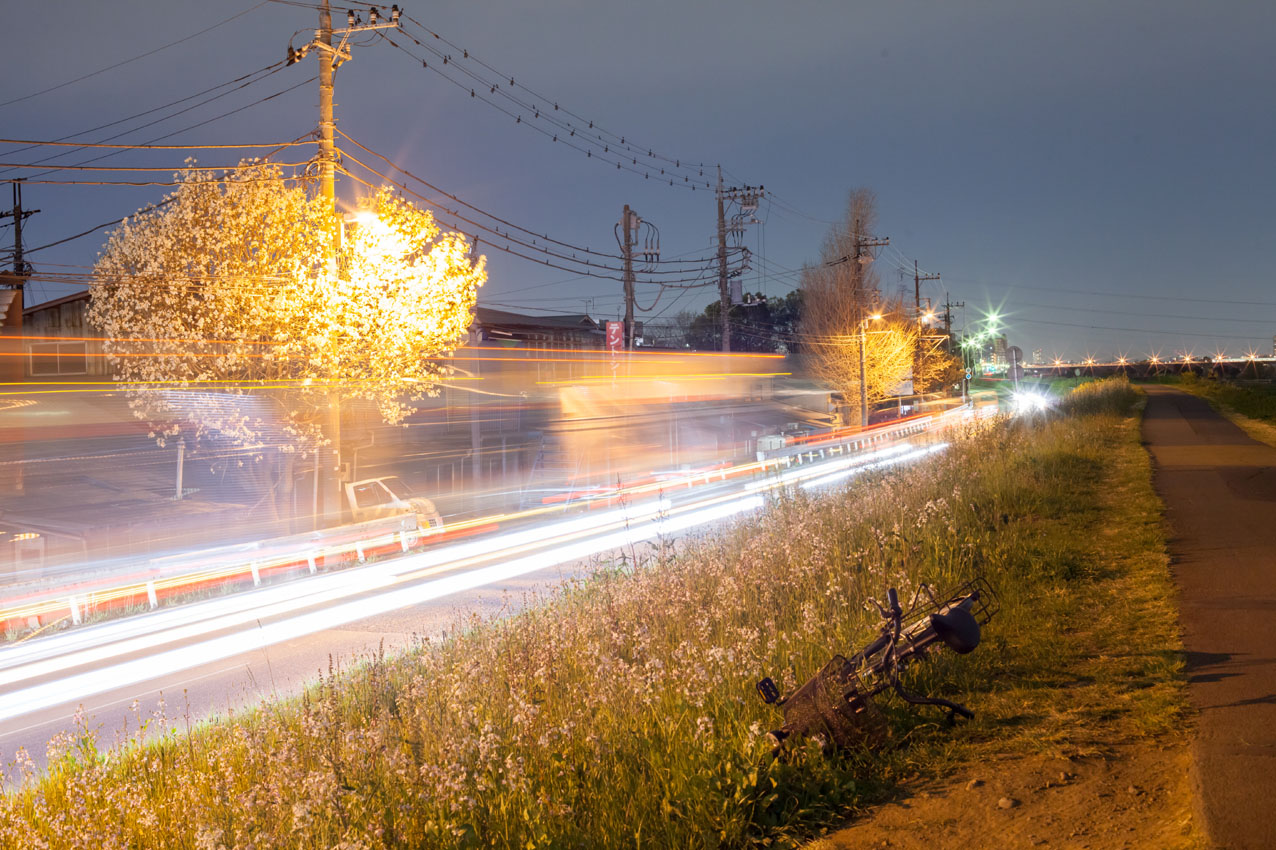 夜の等々力緑地 写真の記憶