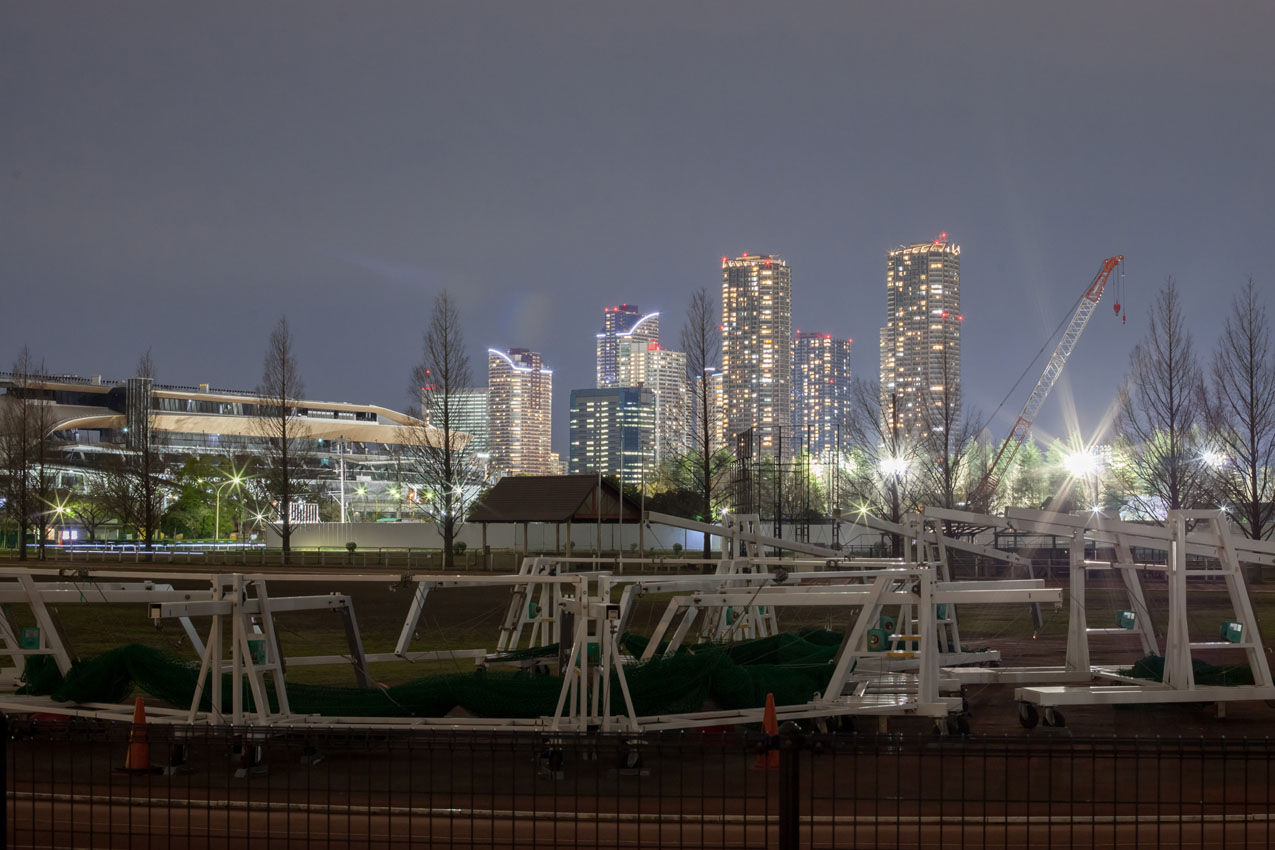 夜の等々力緑地 写真の記憶 夜の等々力緑地 写真の記憶