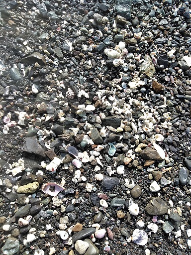 c0172261_14244038.jpg